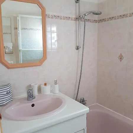 T2 Vue Les Pieds Dans L'eau Avec Parking Prive Apartment *