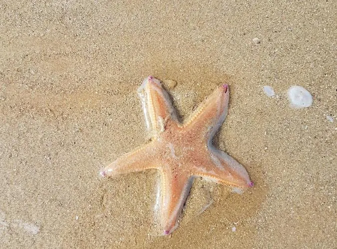 아파트 T2 Vue Les Pieds Dans L'eau Avec Parking Prive