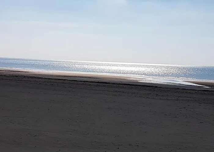 아파트 T2 Vue Les Pieds Dans L'eau Avec Parking Prive